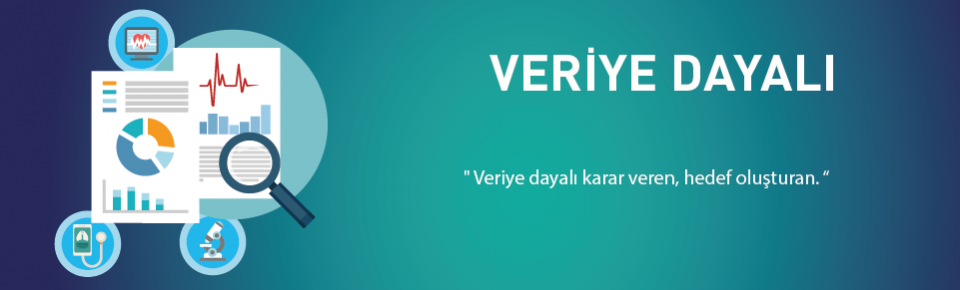 Veriye Dayalı